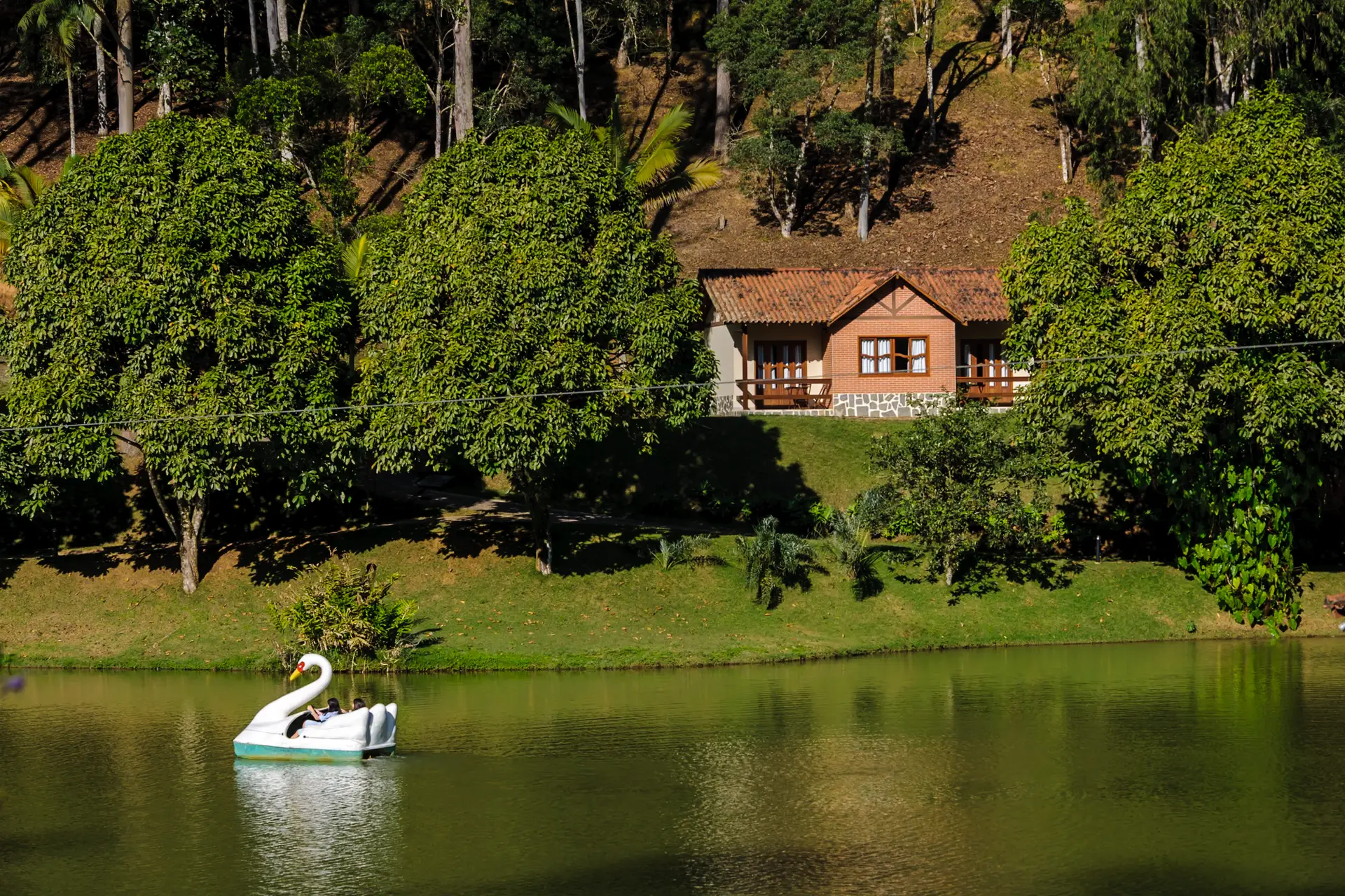 Passeio de pedalinhos